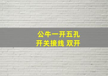 公牛一开五孔开关接线 双开